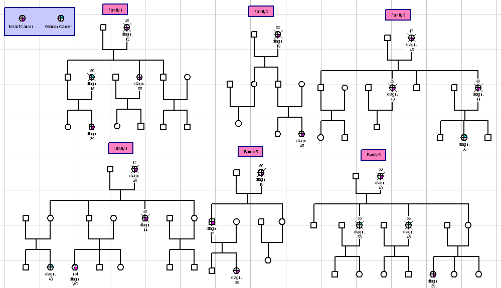 Genopro Examples